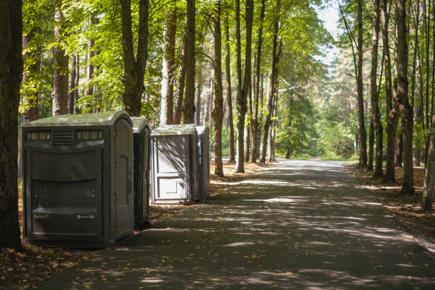 Best Porta potty rental near me  in Ashwaubenon, WI