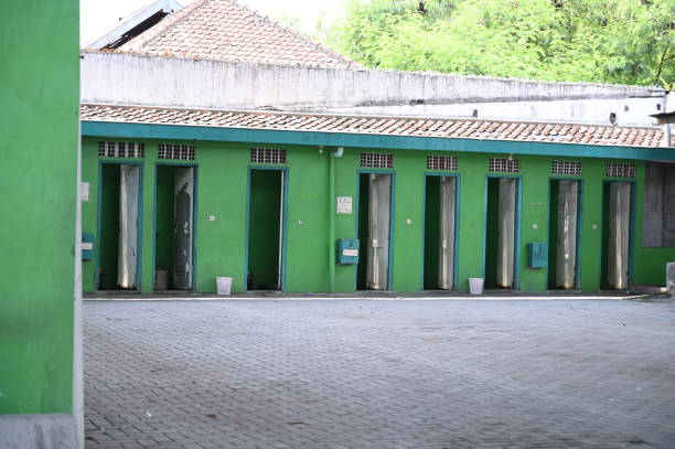 Best Affordable portable toilet rental  in Ashwaubenon, WI